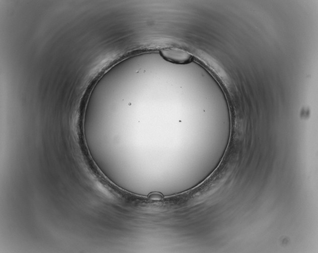 X0000102020485200808011427