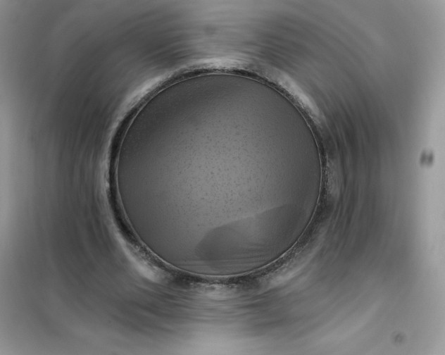 X0000102020486200808011427