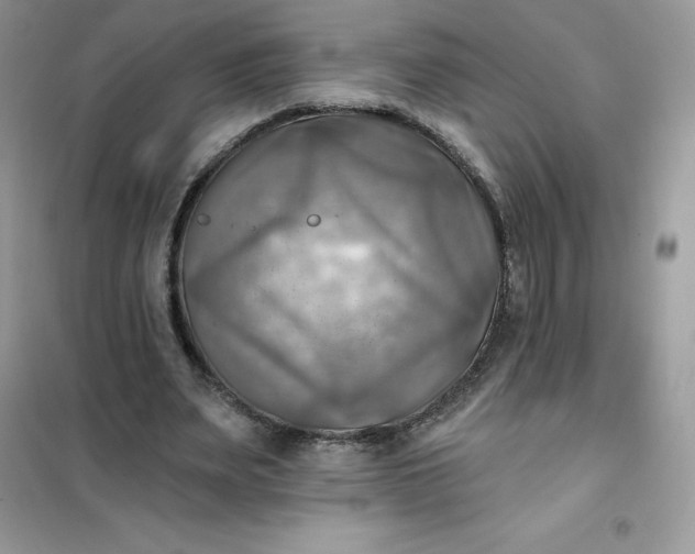 X0000102020487200808011427