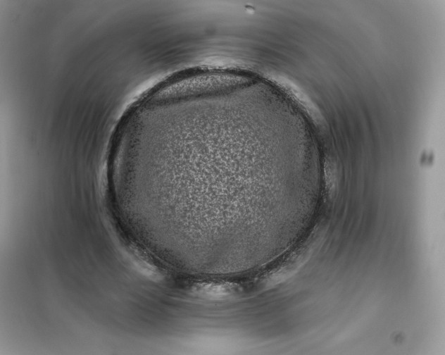 X0000102020488200808011427