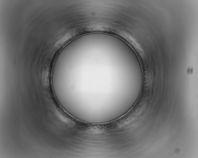 X0000102020489200808011427