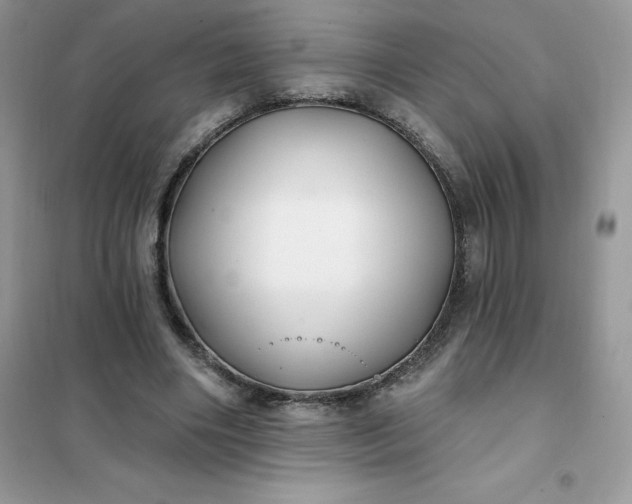 X0000102020490200808011427