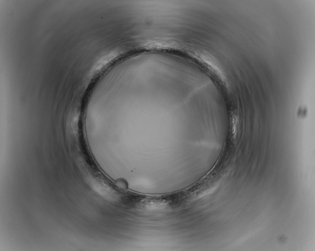 X0000102020491200808011427