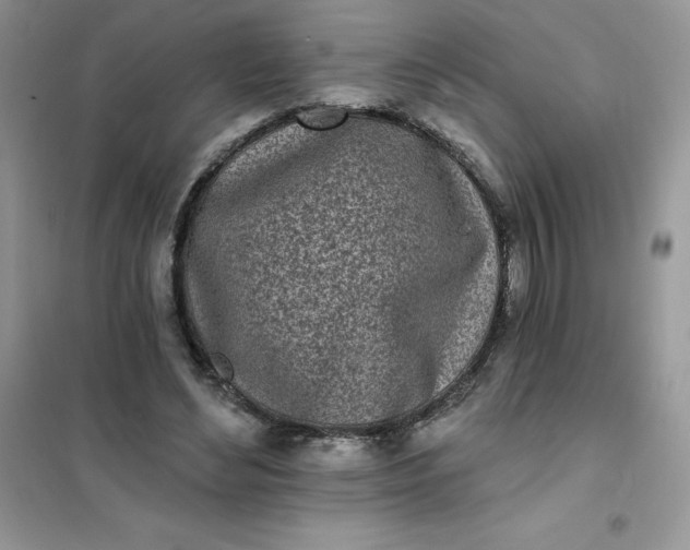 X0000102020492200808011427