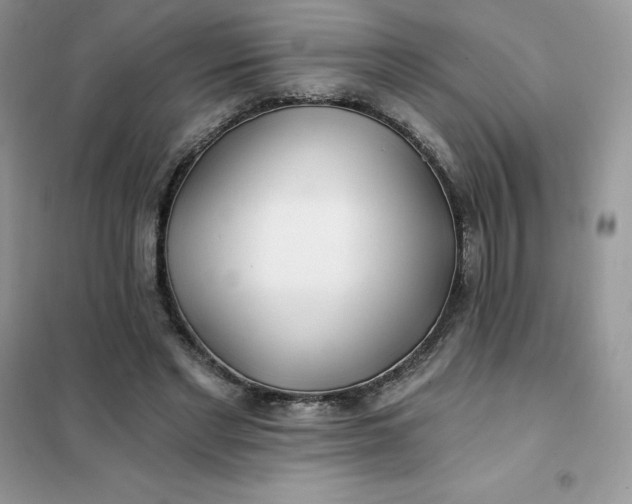 X0000102020493200808011427