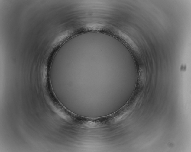 X0000102020494200808011427