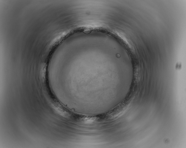 X0000102020495200808011427