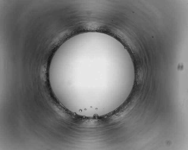 X0000102020497200808011427