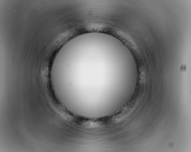 X0000102020498200808011427