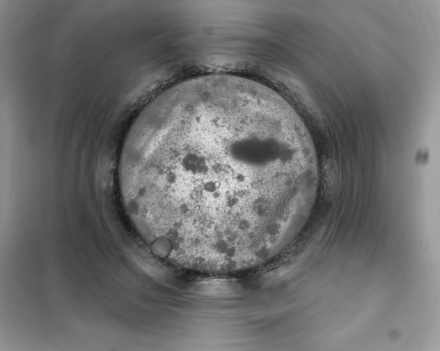 X0000102020499200808011427