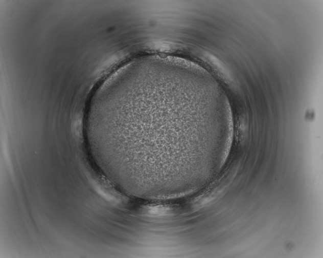 X0000102020500200808011427