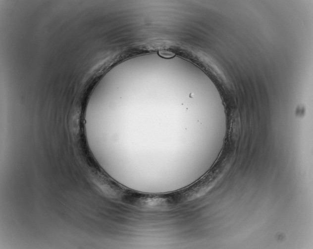 X0000102020501200808011427