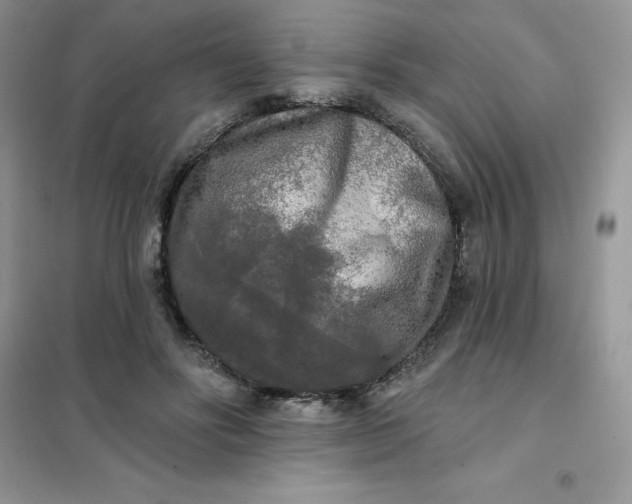 X0000102020502200808011427