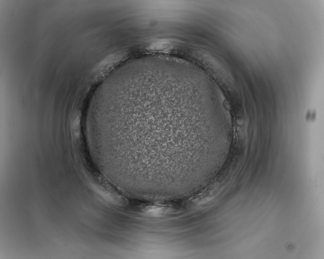 X0000102020504200808011427