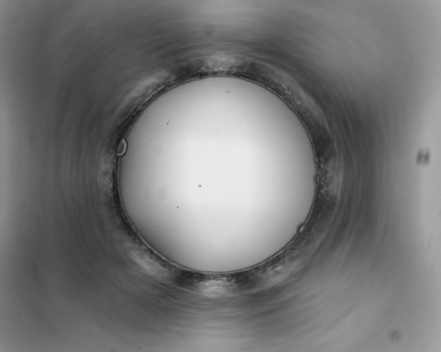 X0000102020505200808011427