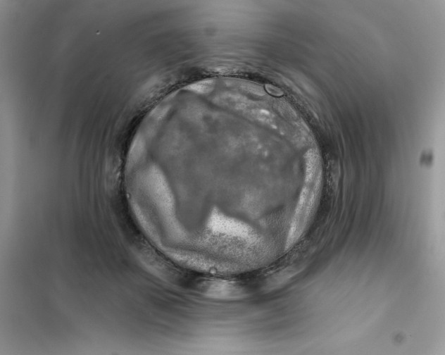 X0000102020507200808011427