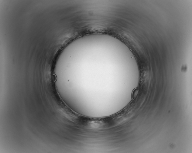 X0000102020508200808011427