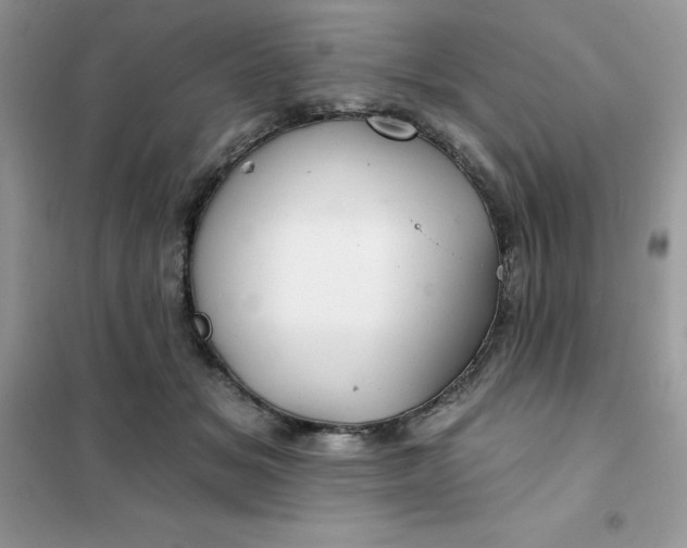 X0000102020509200808011427