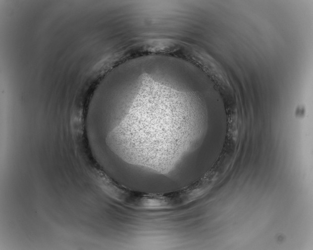 X0000102020510200808011427