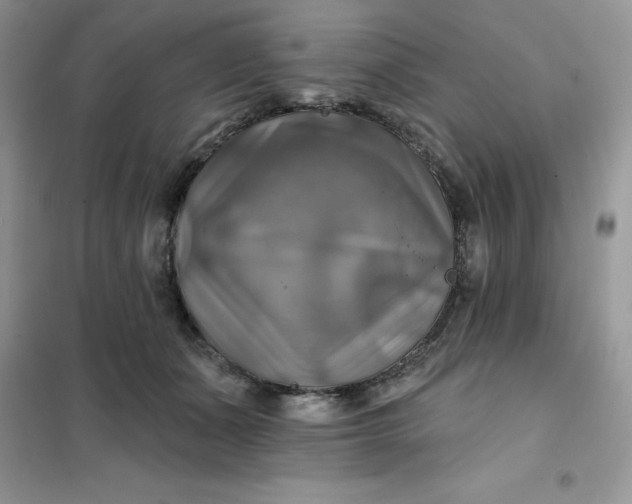 X0000102020511200808011427