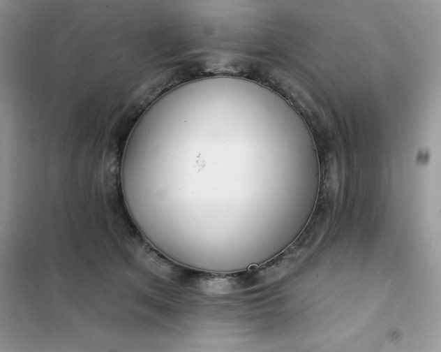 X0000102020513200808011427