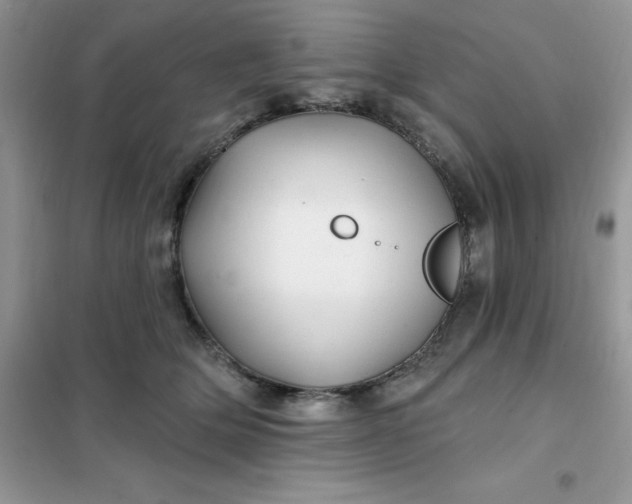 X0000102020514200808011427