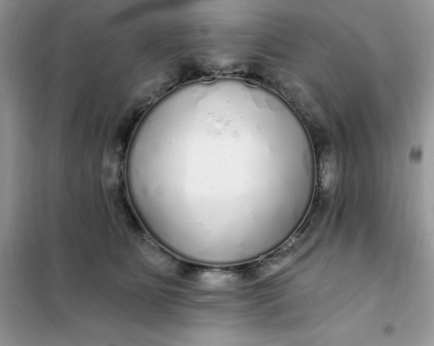 X0000102020515200808011427