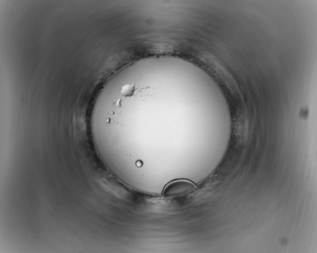 X0000102020516200808011427