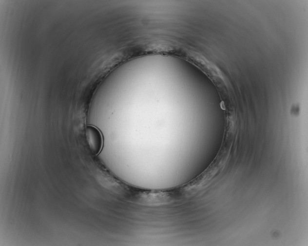 X0000102020517200808011427