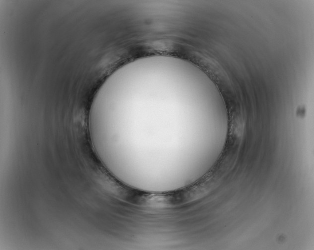 X0000102020518200808011427