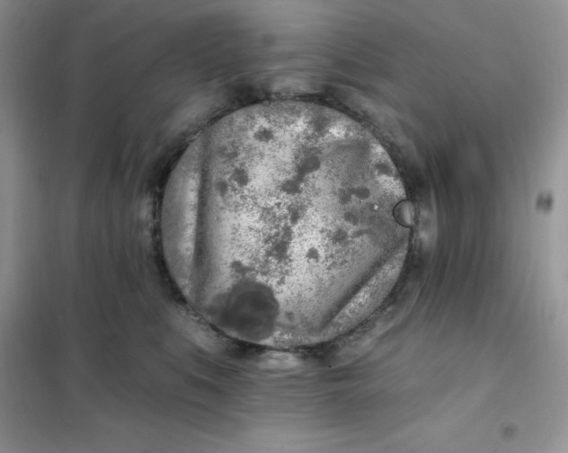 X0000102020519200808011427
