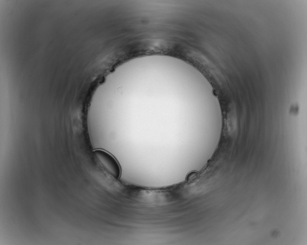 X0000102020520200808011427