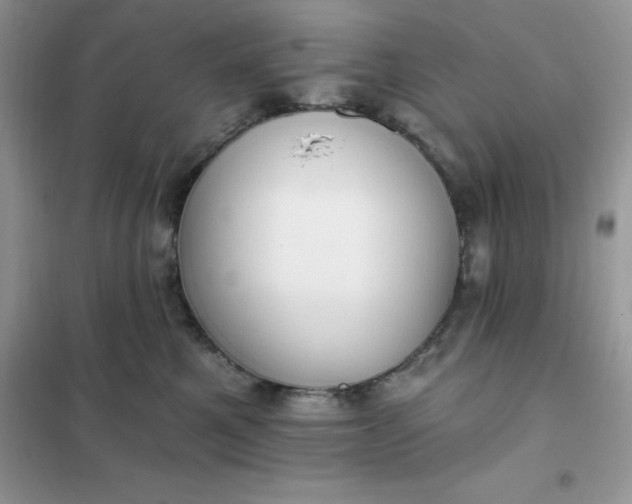 X0000102020521200808011427