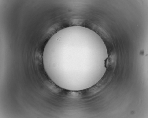 X0000102020522200808011427
