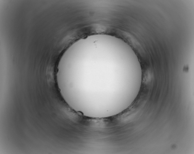 X0000102020524200808011427