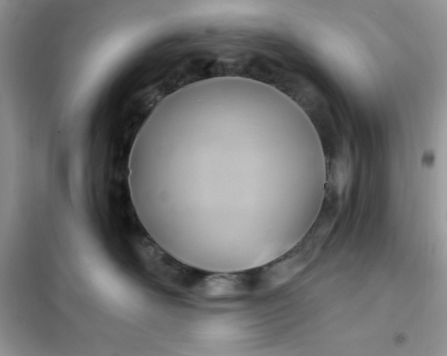 X0000102020526200808011427