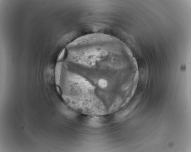 X0000102020527200808011427
