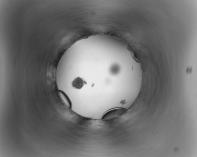 X0000102020528200808011427