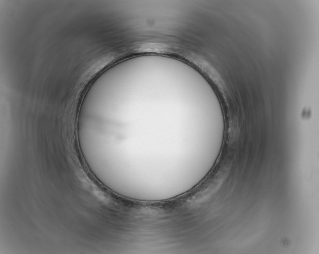 X0000102020529200808011426