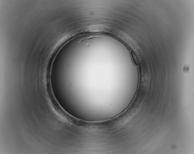 X0000102020530200808011426