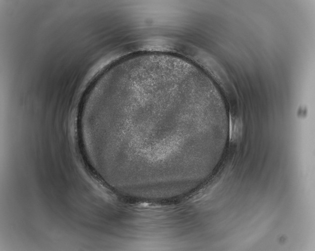 X0000102020531200808011426