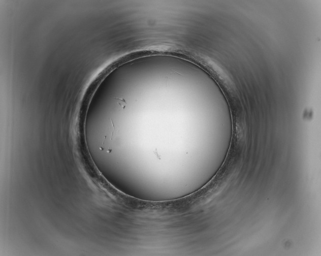 X0000102020532200808011426