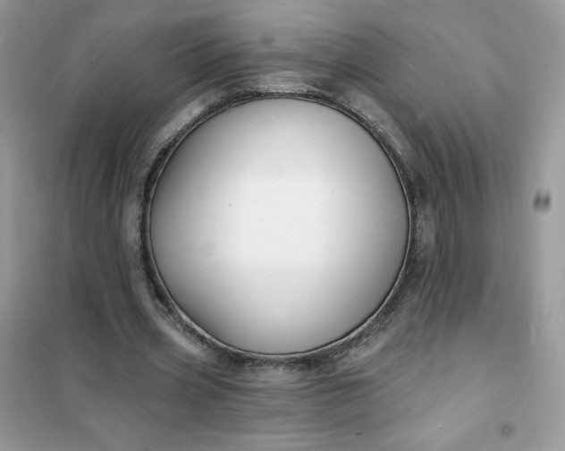 X0000102020533200808011426