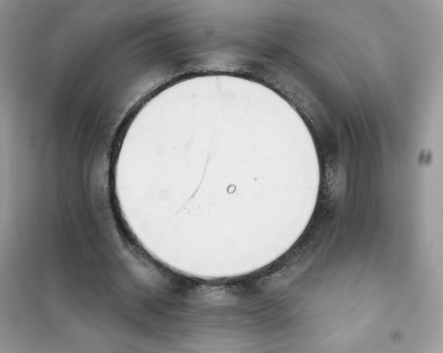 X0000102020534200808011426