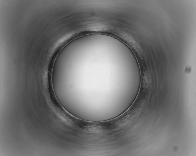 X0000102020535200808011426