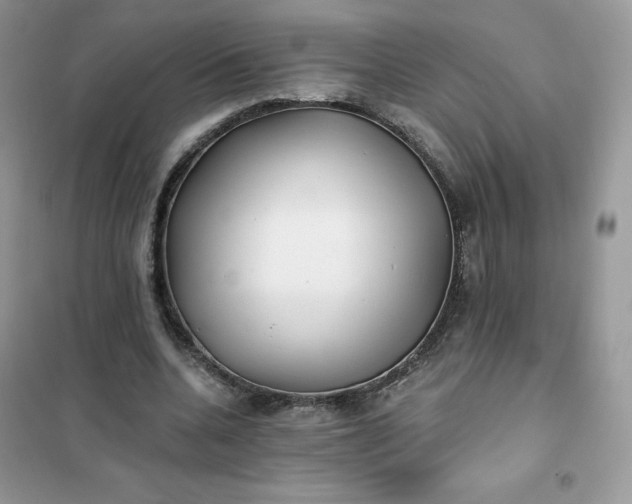 X0000102020536200808011426