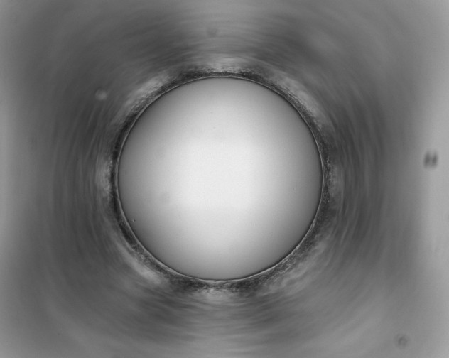 X0000102020537200808011426