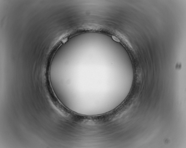 X0000102020538200808011426