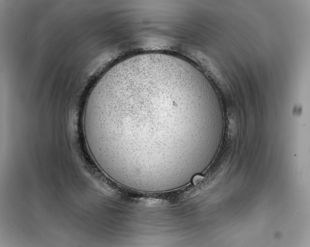 X0000102020539200808011426