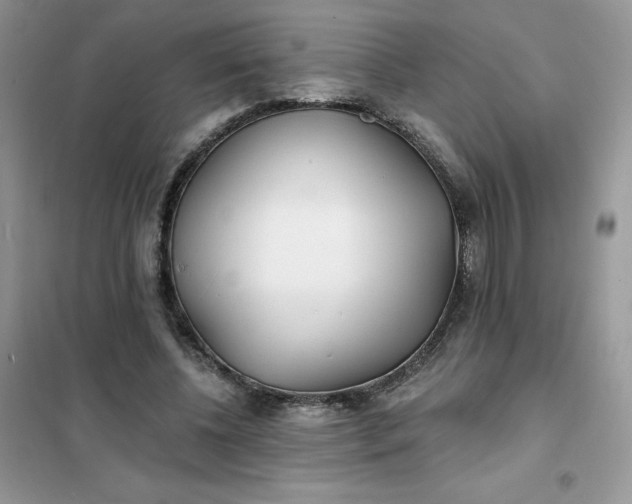 X0000102020540200808011426